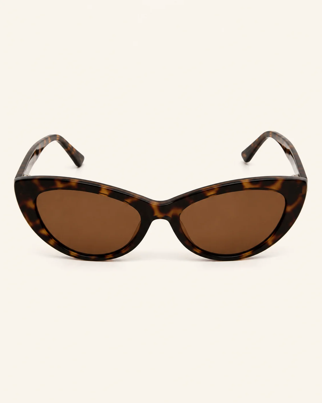 Nocturne — front view — Tortoise